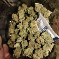 420 Stoner Group